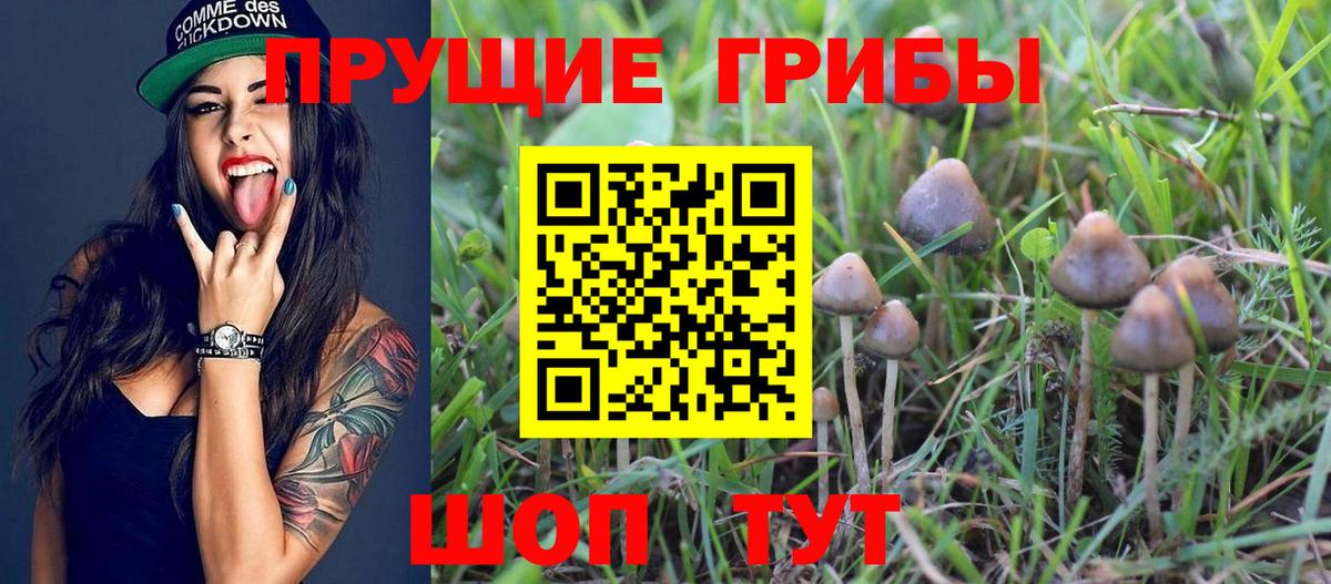 Галлюциногенные грибы Magic Shrooms Владикавказ