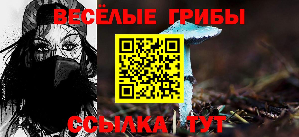 Псилоцибиновые грибы Magic Shrooms  магазин продажи наркотиков  Вход с VPN  Владикавказ  Галлюциногенные грибы Psilocybe 